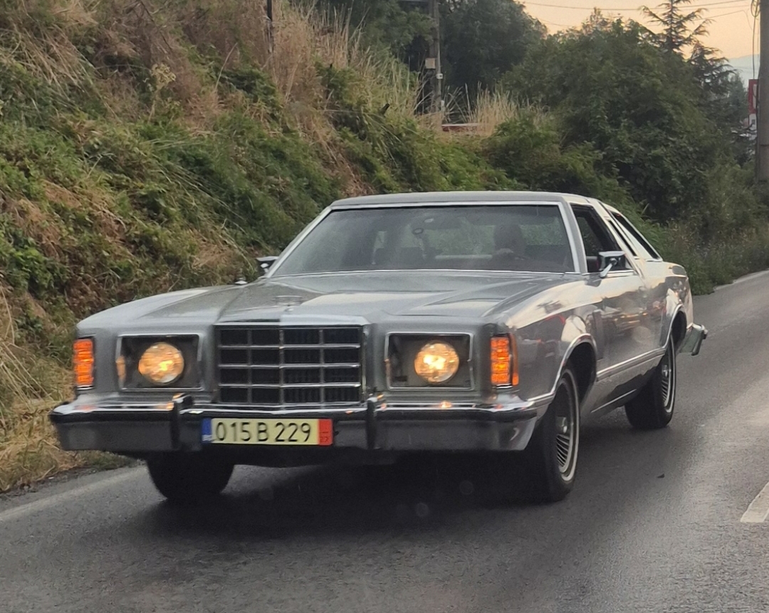 015 B 229 27, Ford Thunderbird 8th gen Coupe, 1979–1982