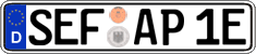 German license plate, Electric vehicles