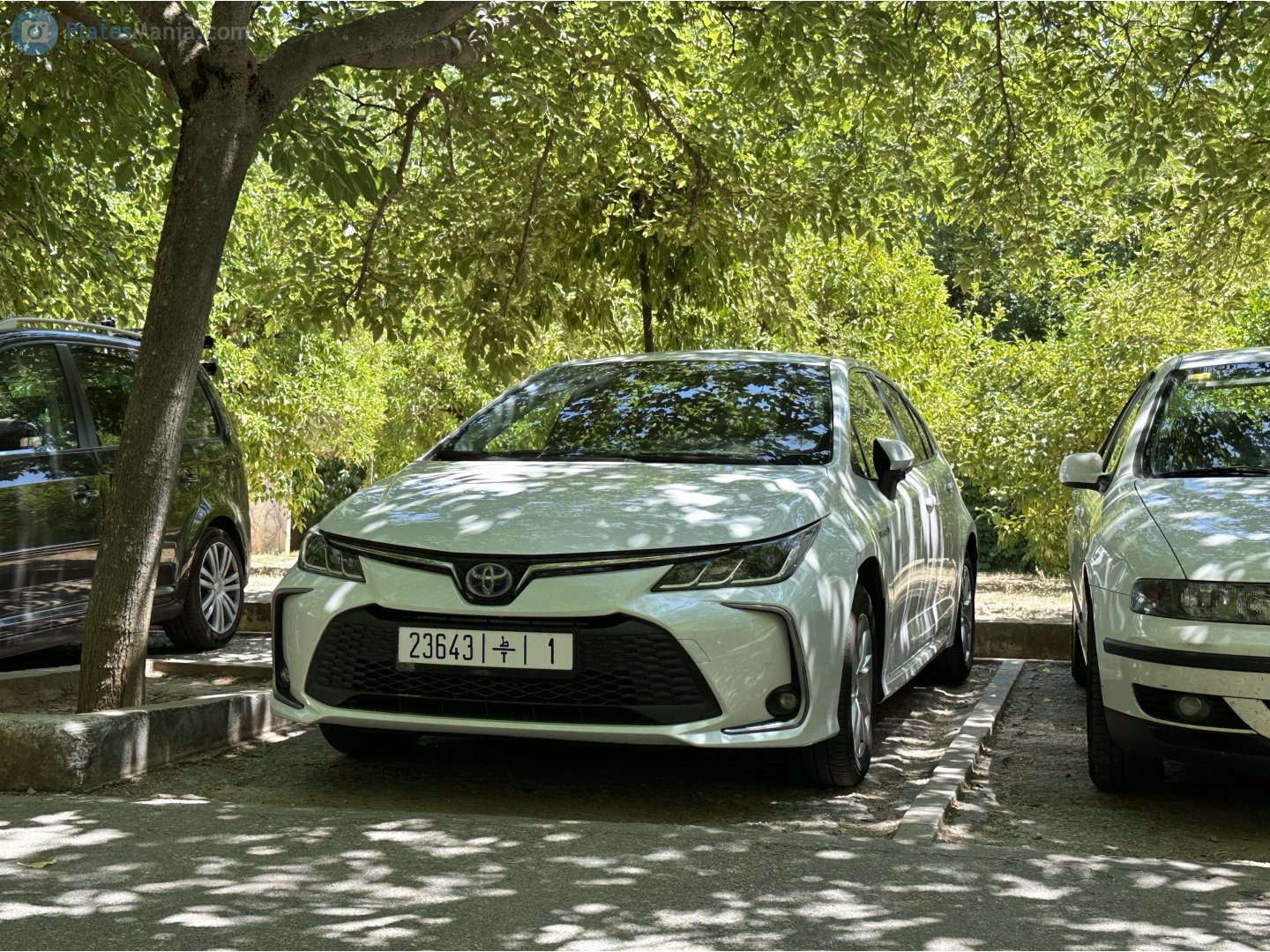 23643|ط|1, Toyota Corolla 12th gen (Altis) Sedan (E210; Global-market), 2019–