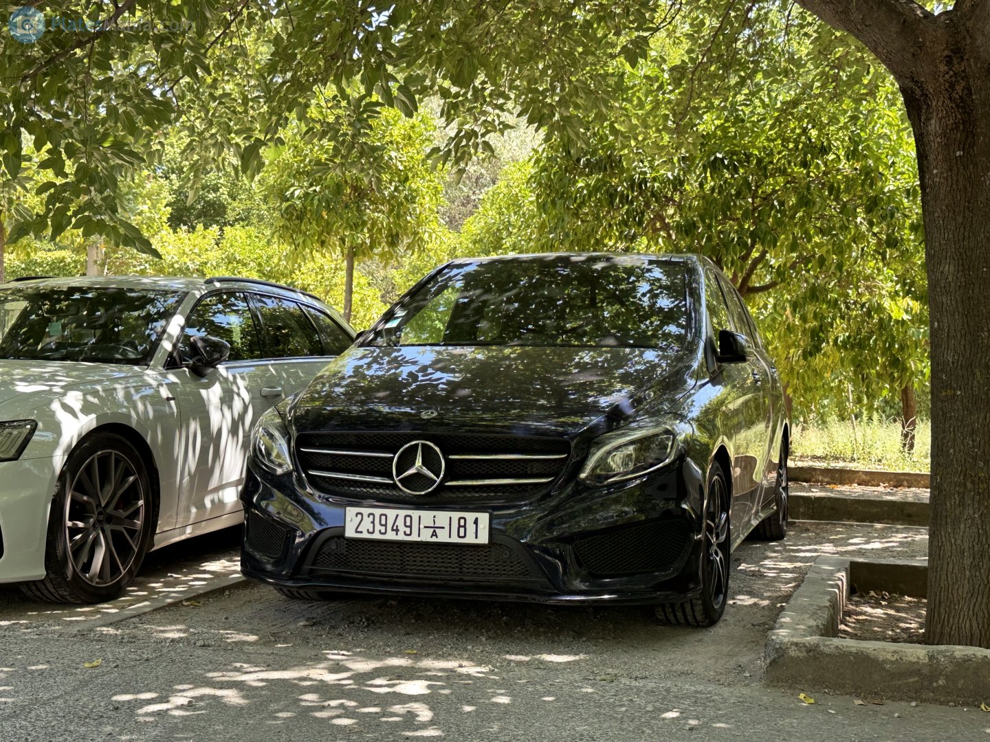 23949|أ|81, Mercedes-Benz B-Klasse 2nd gen (W242/W246), facelift, 2014–2018