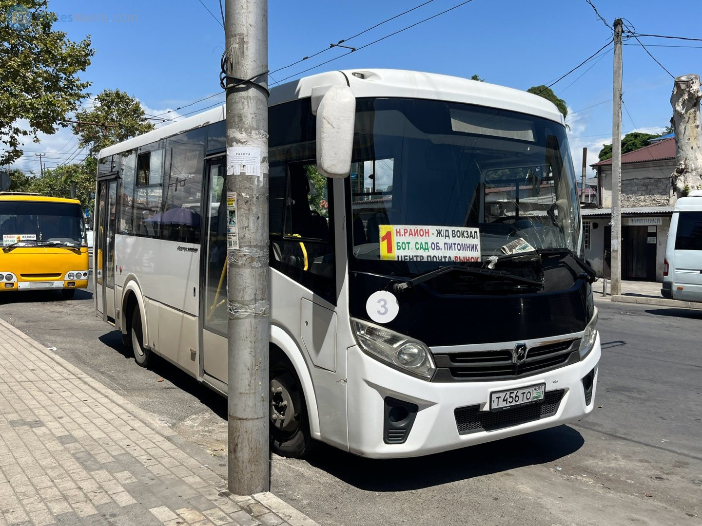 т 456 то, PAZ 3203/3204 3204 Vector Next, 2016–