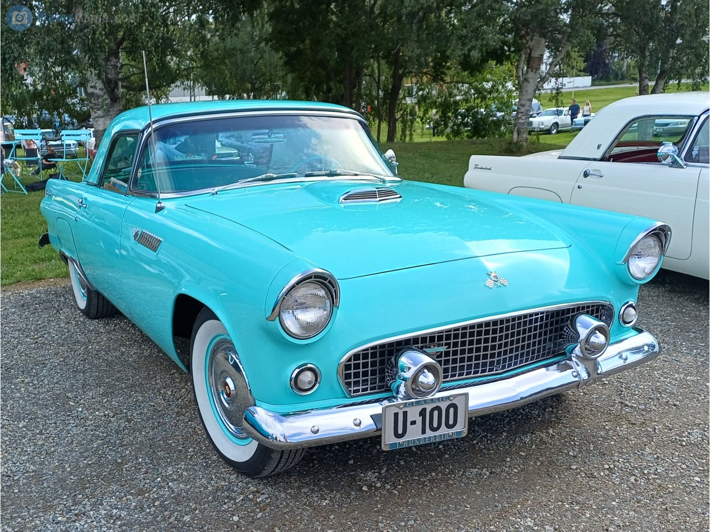 U-100, Ford Thunderbird 1st gen 1955 Convertible (P5-40), 1954–1955