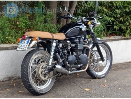 BX 98451, Triumph Motorcycles Bonneville