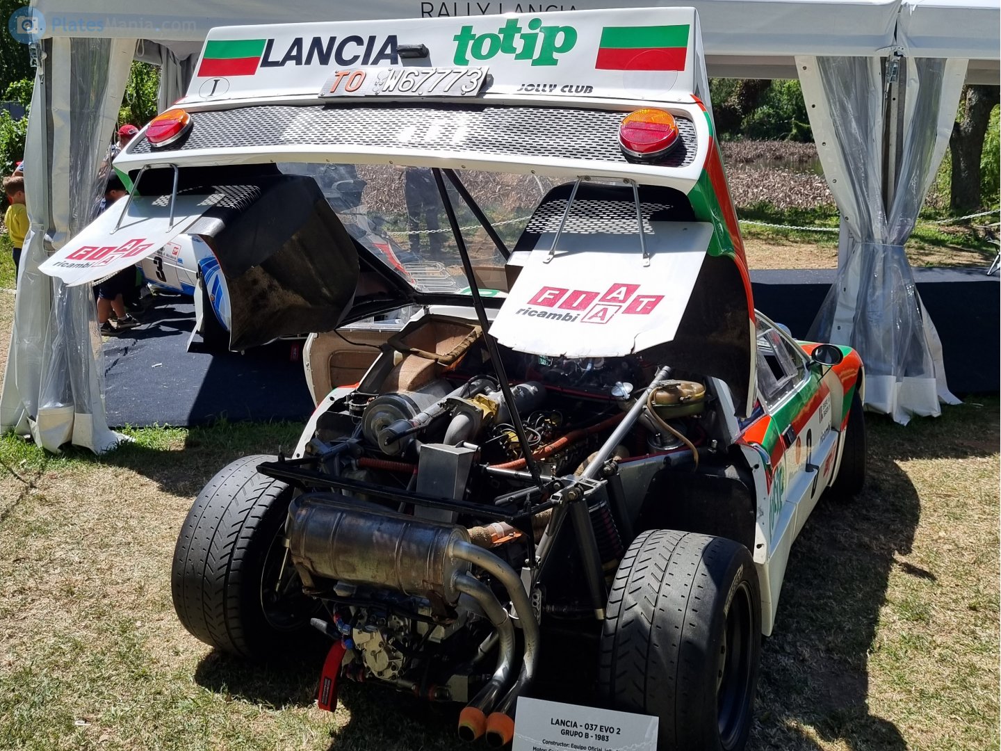 TO W67773, Lancia Rally 037 1st gen Sport (SE027), 1982–1986