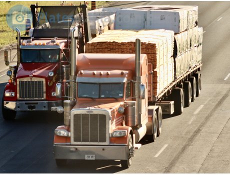 209-8PZ, Peterbilt 389