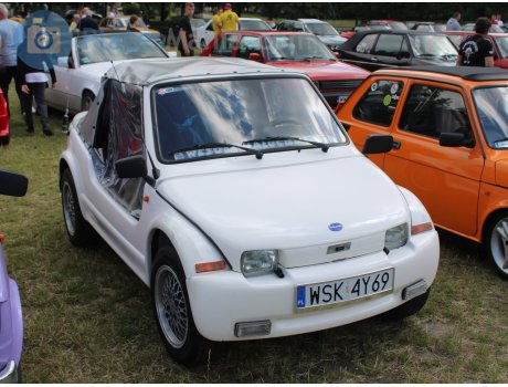 WSK 4Y69, Polski Fiat 126p