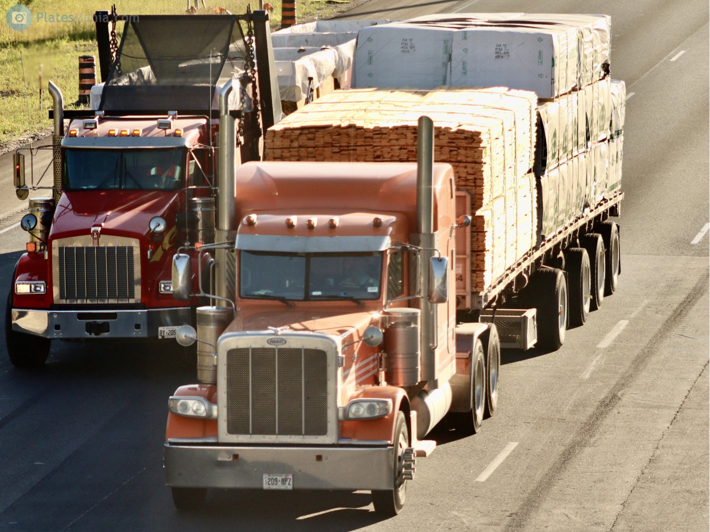 209-8PZ, Peterbilt 389 