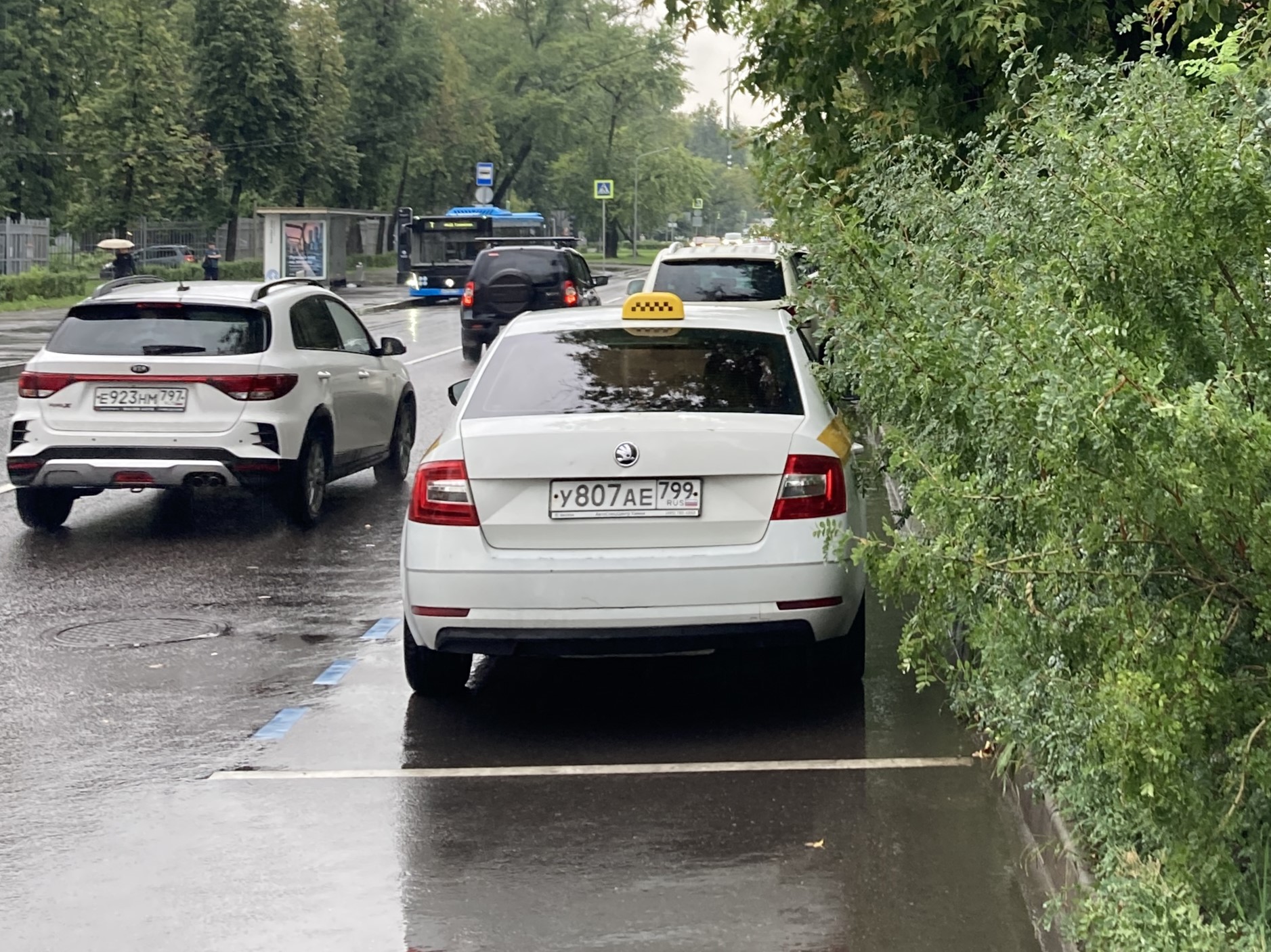 у 807 ае 799, Skoda Octavia 3rd gen Liftback (A7/5E3), facelift, 2017–2022 (–2023 for CN-market)