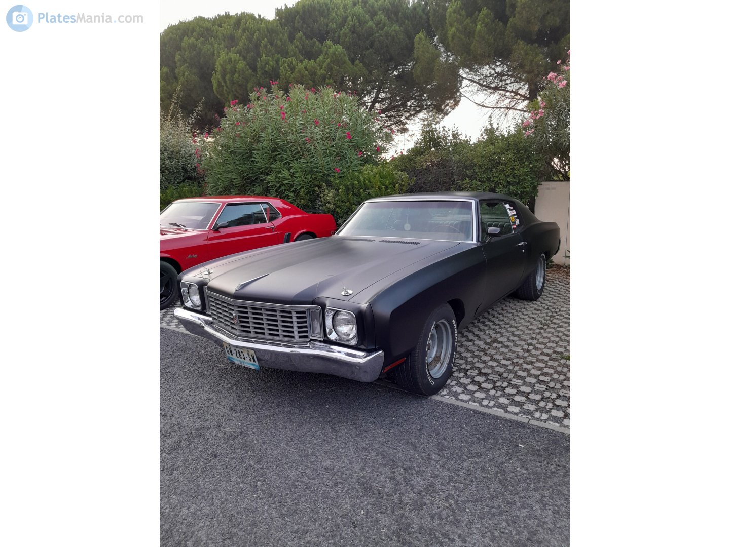 GW-283-SW, Chevrolet Monte Carlo 3rd gen 1980 (Z03/Z37; G-body), 1979–1980