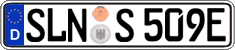 German license plate, Electric vehicles
