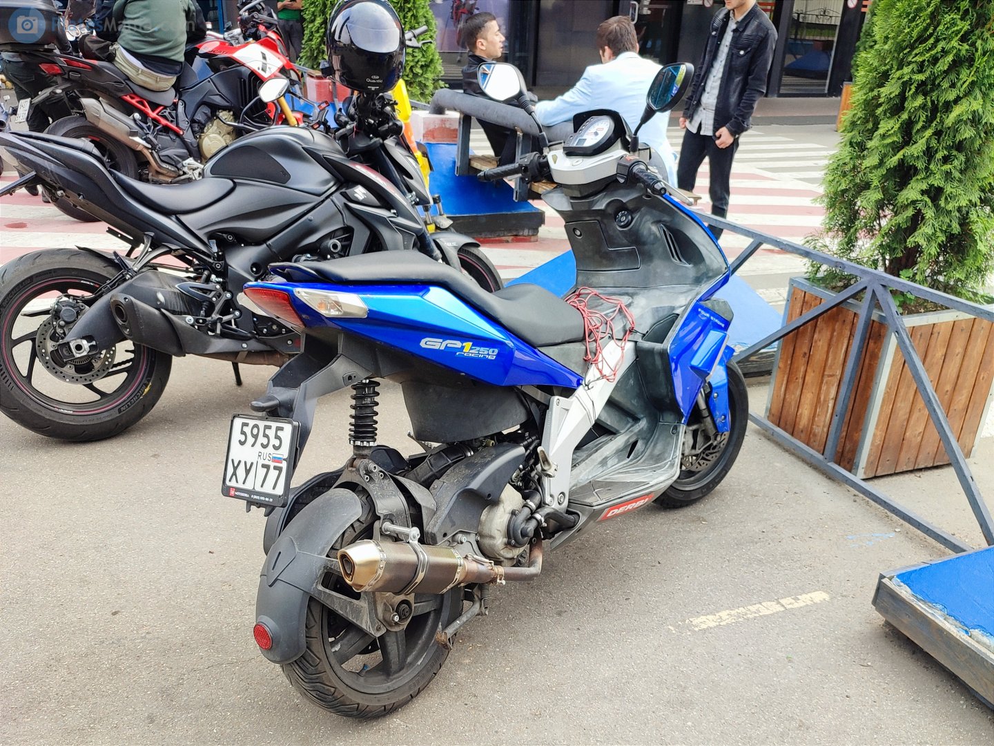 5955 ху 77, Derbi GP1 