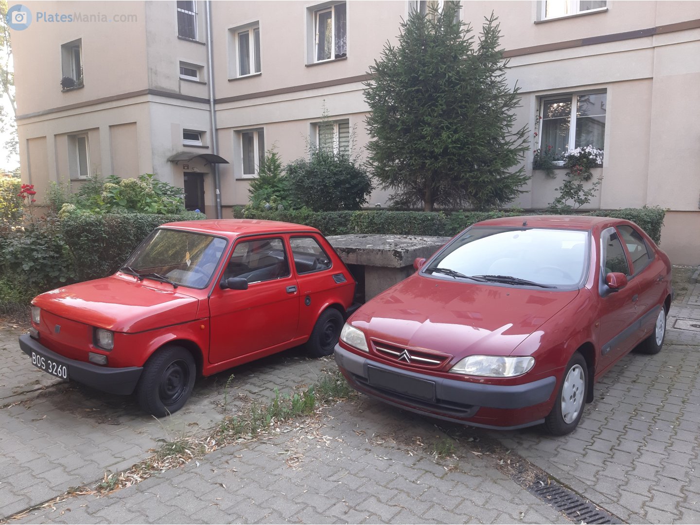 BOS 3260, FIAT 126 126 el/elx, 1994–2000