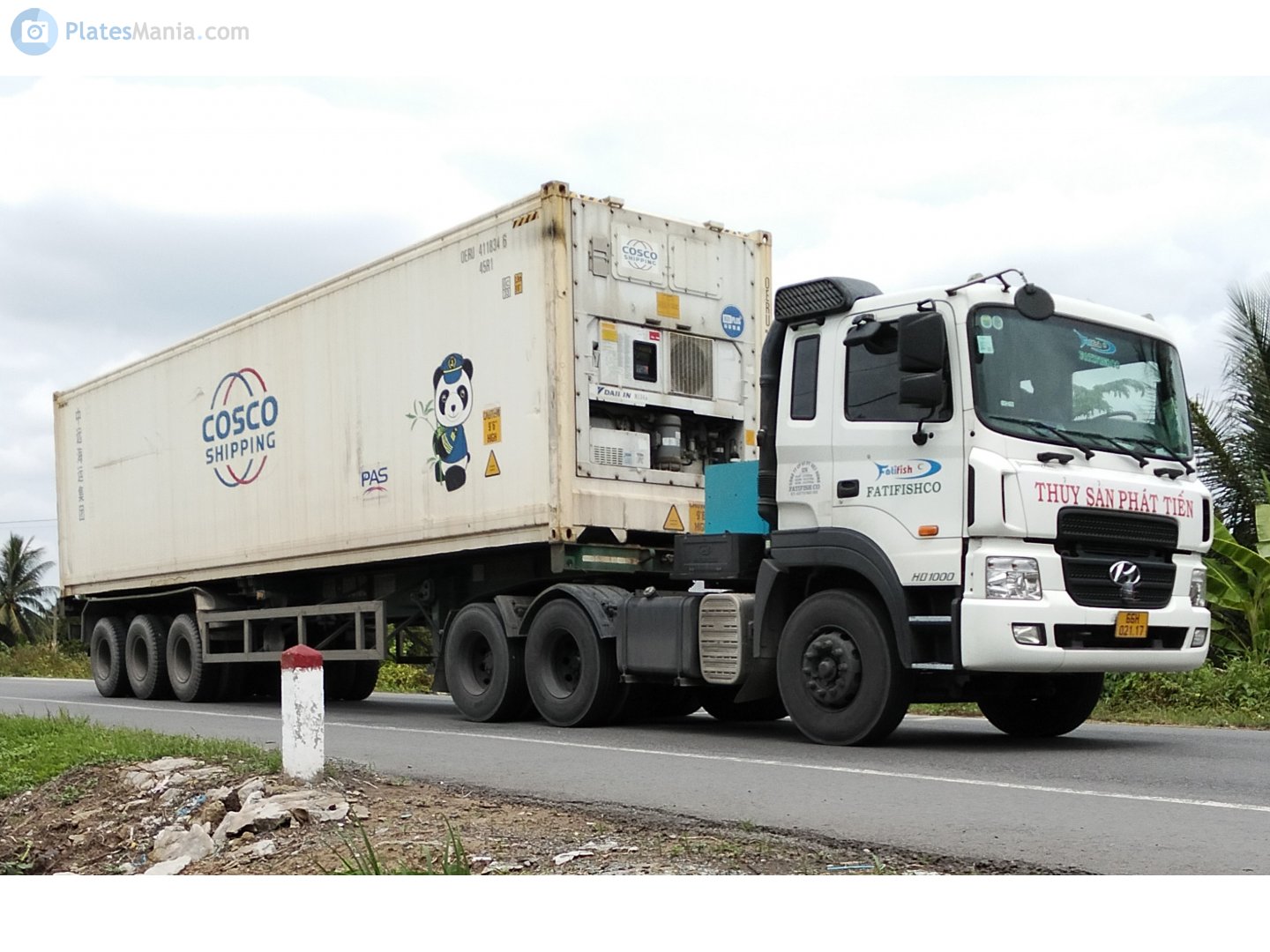 66H-021.17, Hyundai HD700 / HD1000 