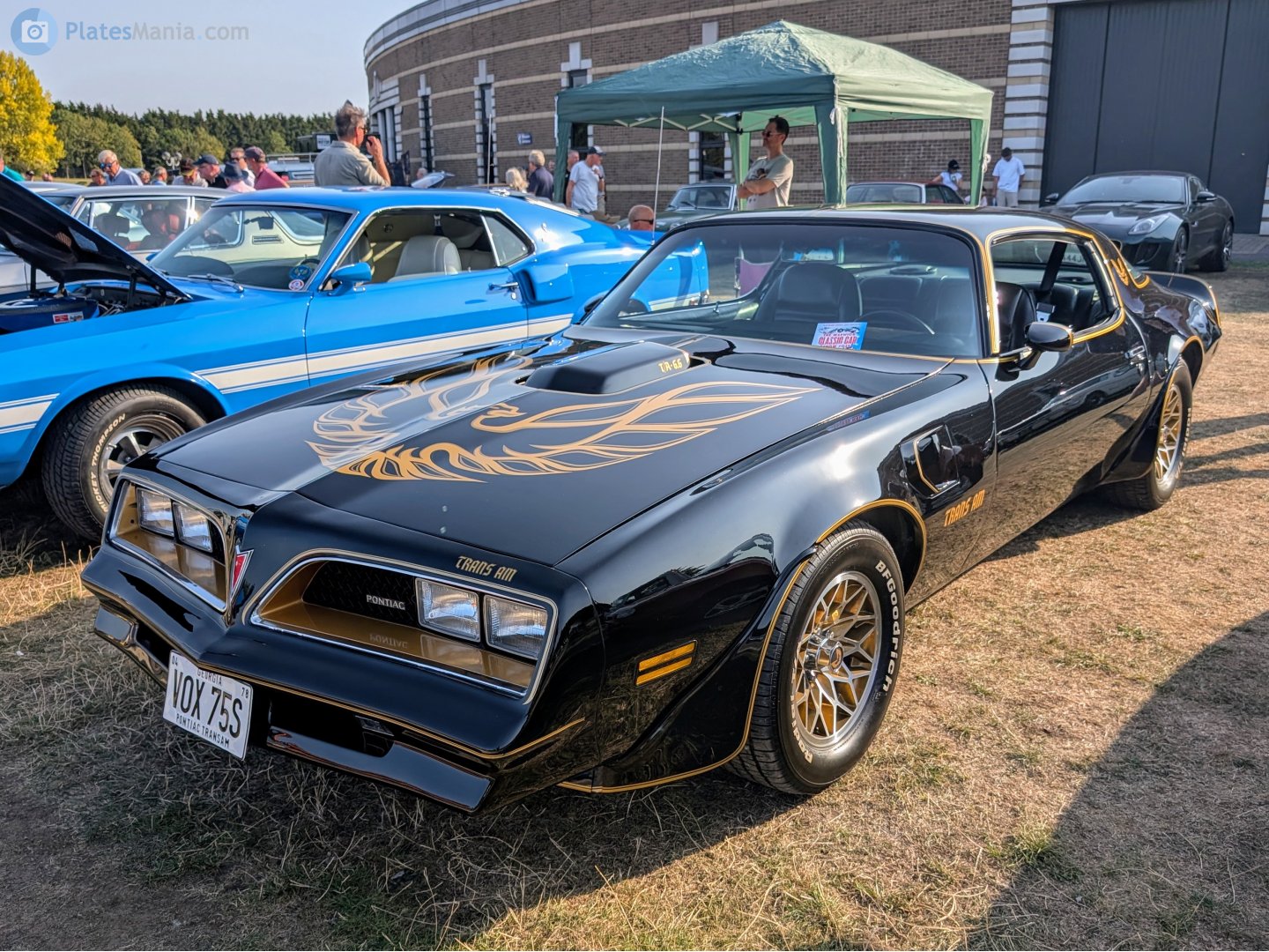 VOX75S, Pontiac Firebird 2nd gen Coupé (87; F-body), 2nd facelift, 1976–1978