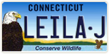 Connecticut, Vanity Plates