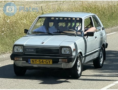 NT-54-GY, Suzuki Alto