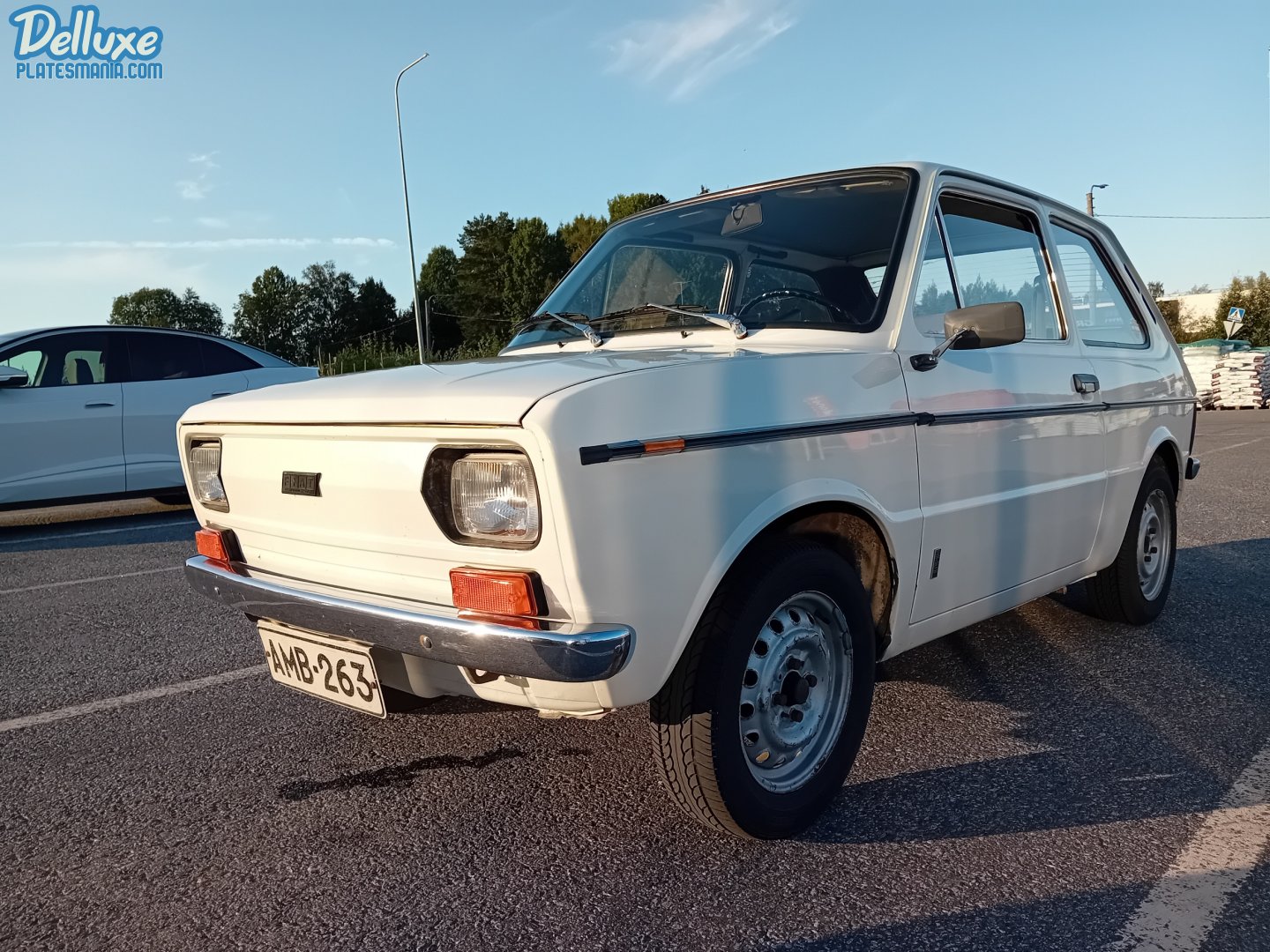 AMB-263, FIAT 133 