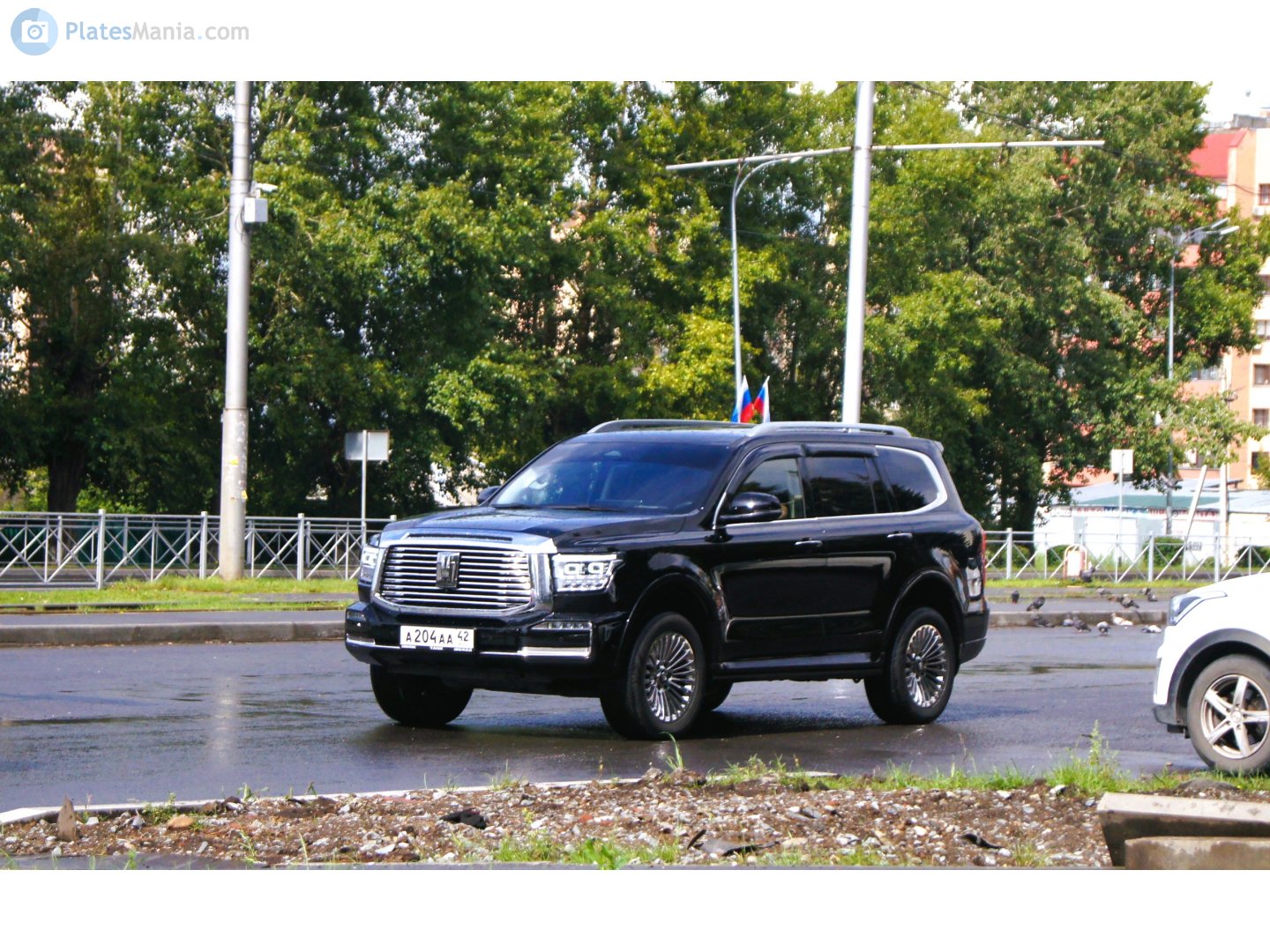 а 204 аа 42, Tank 500 1st gen, 2021–