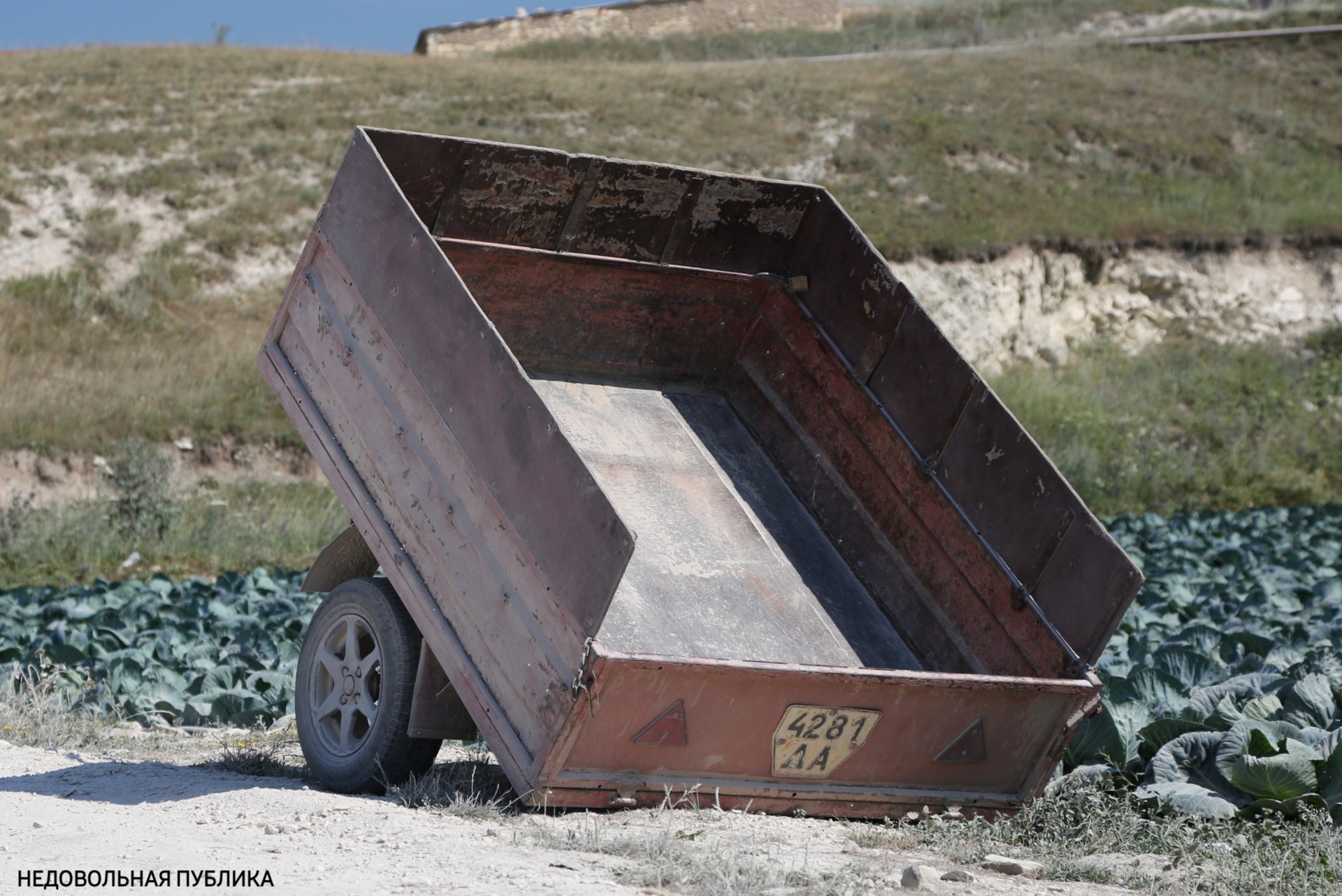 4281 ДА, RoARZ 12738 