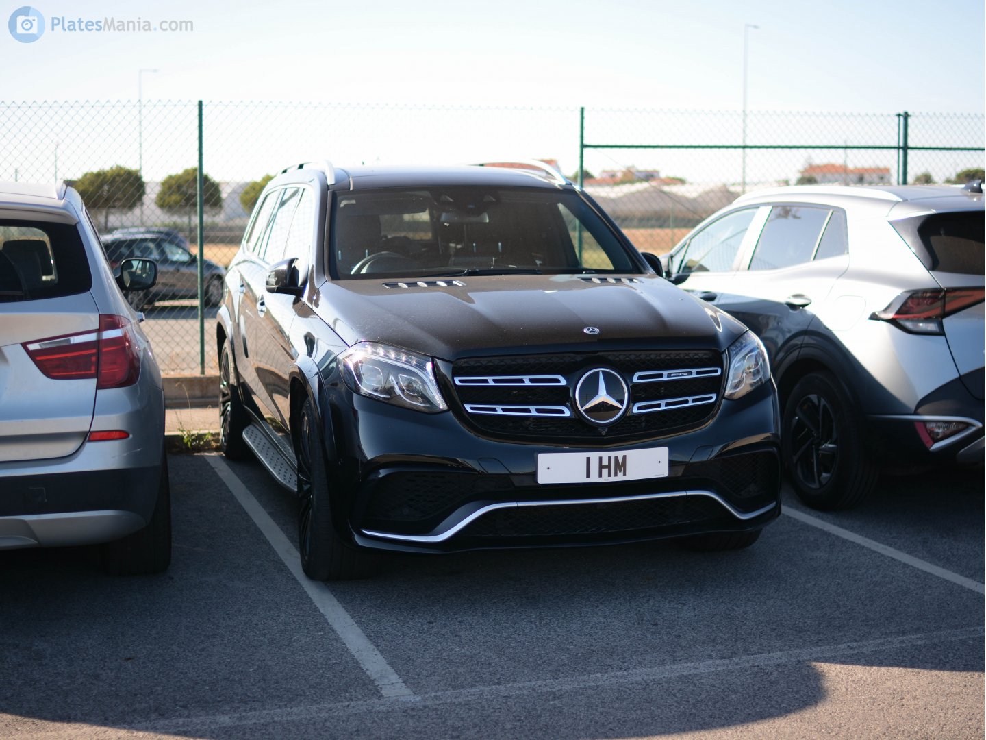 1HM, Mercedes-Benz GLS-Klasse 1st gen (X166), 2016–2019