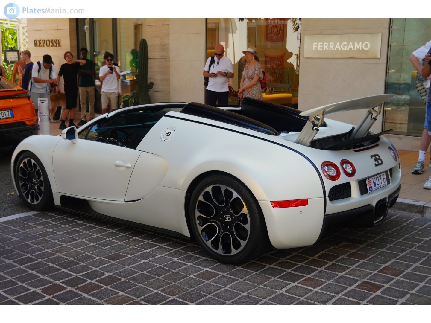 W0T6, Bugatti Veyron Grand Sport Targa, 2009–2015