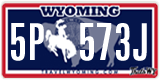 Wyoming, 1(2)A 123X
