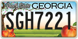 Georgia, ABC 1234