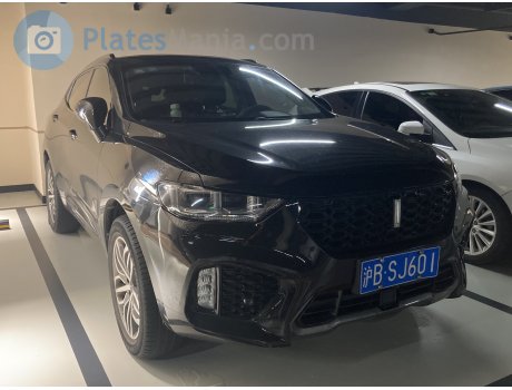 沪B·SJ601, WEY VV5