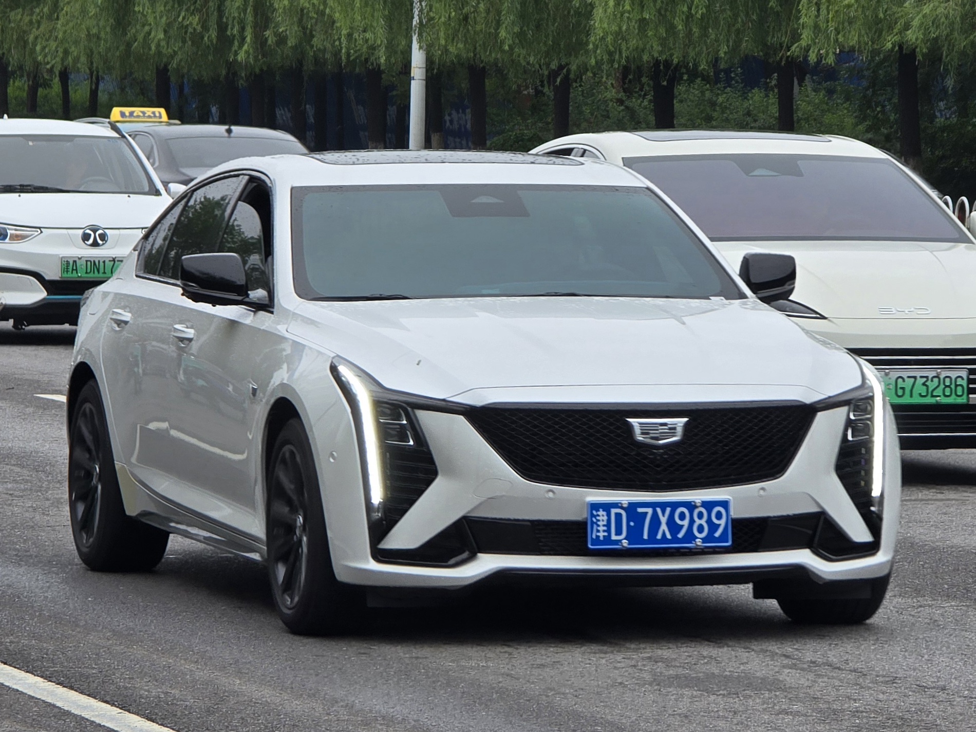 津D·7X989, Cadillac CT5 1st gen (Alpha 2), facelift, 2024–