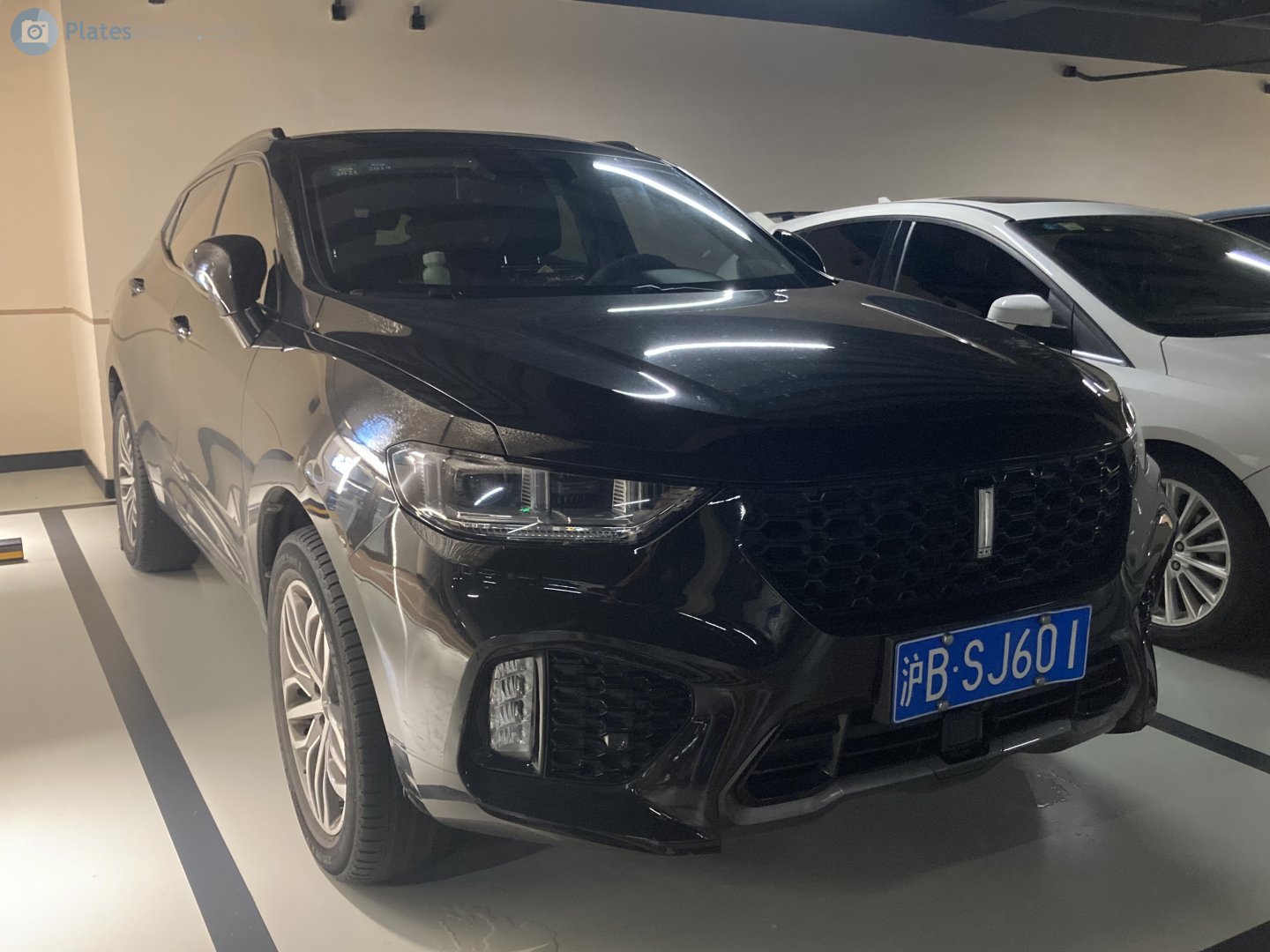 沪B·SJ601, WEY VV5 