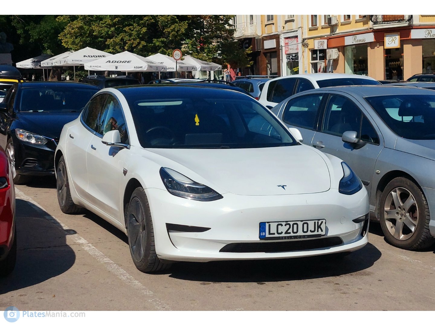 LC20OJK, Tesla Model 3 1st gen (5YJ3), 2017–2023
