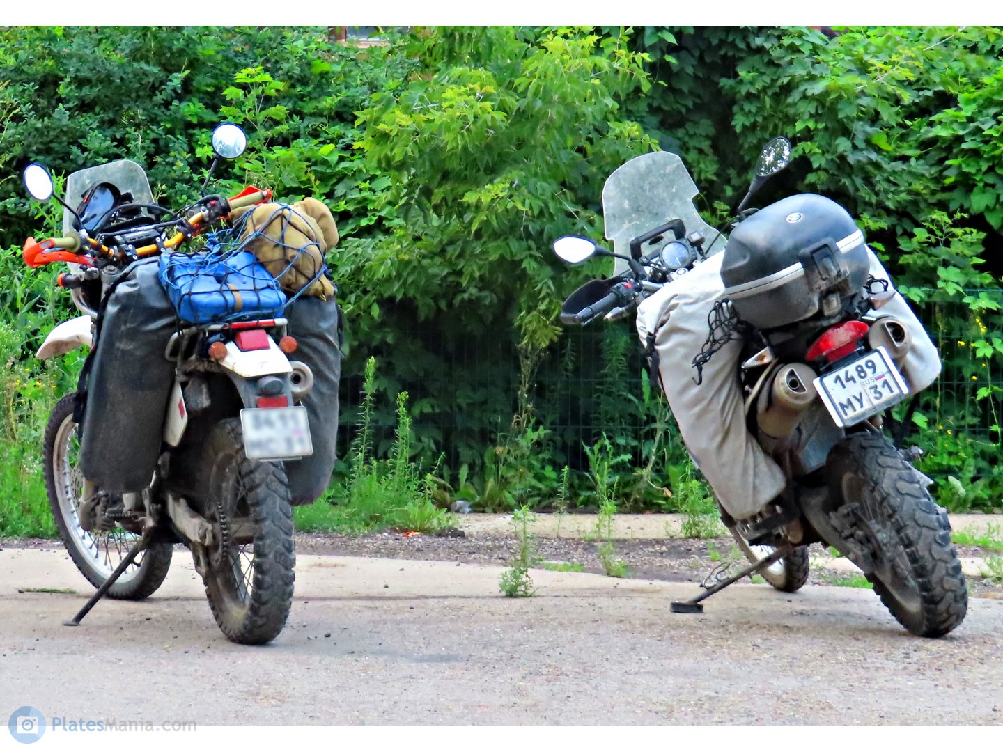 1489 му 31, BMW G Series G650GS, 2008–2016