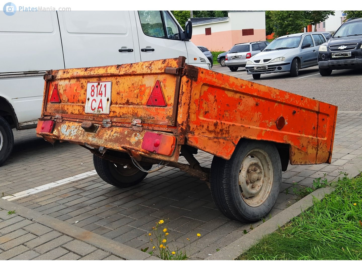 8141 CA, MAZ 8111/8114 8114