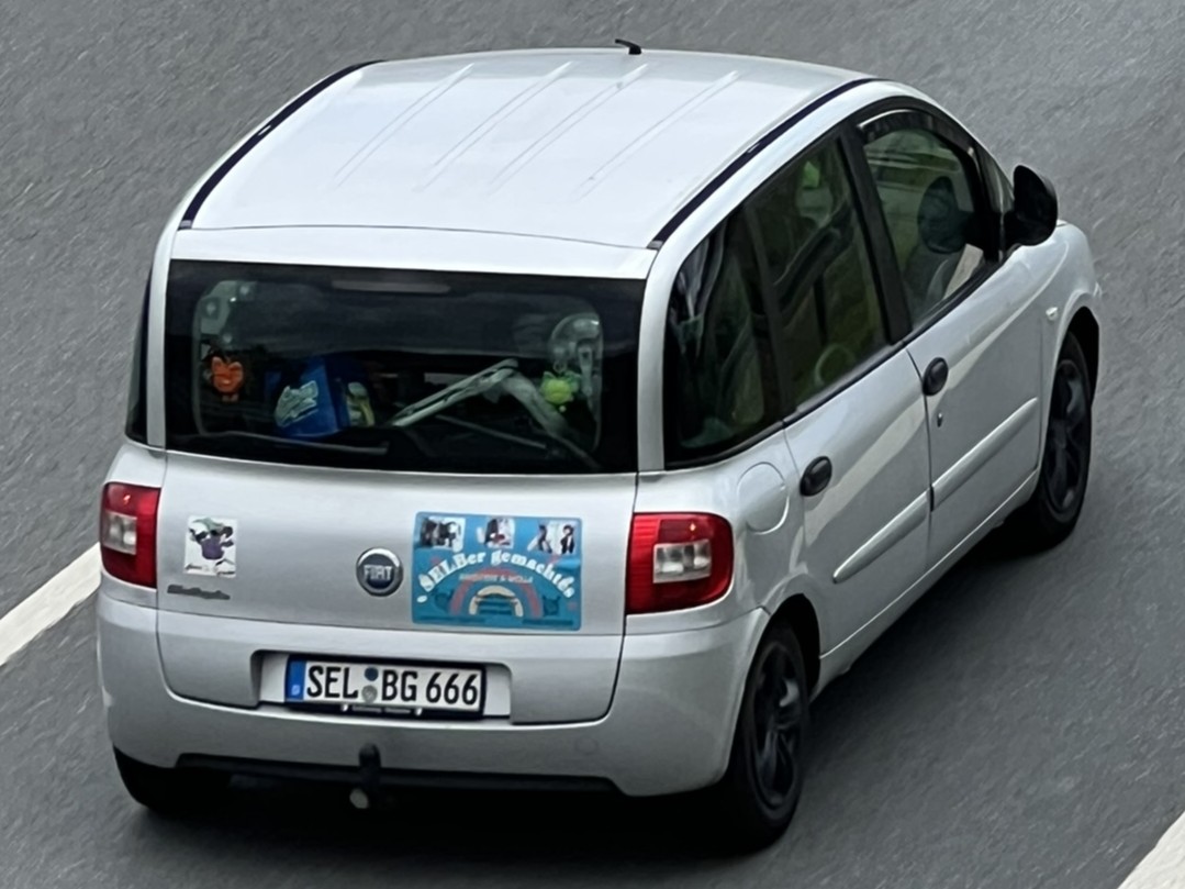 SEL BG 666, FIAT Multipla 1st gen (186), facelift, 2004–2010