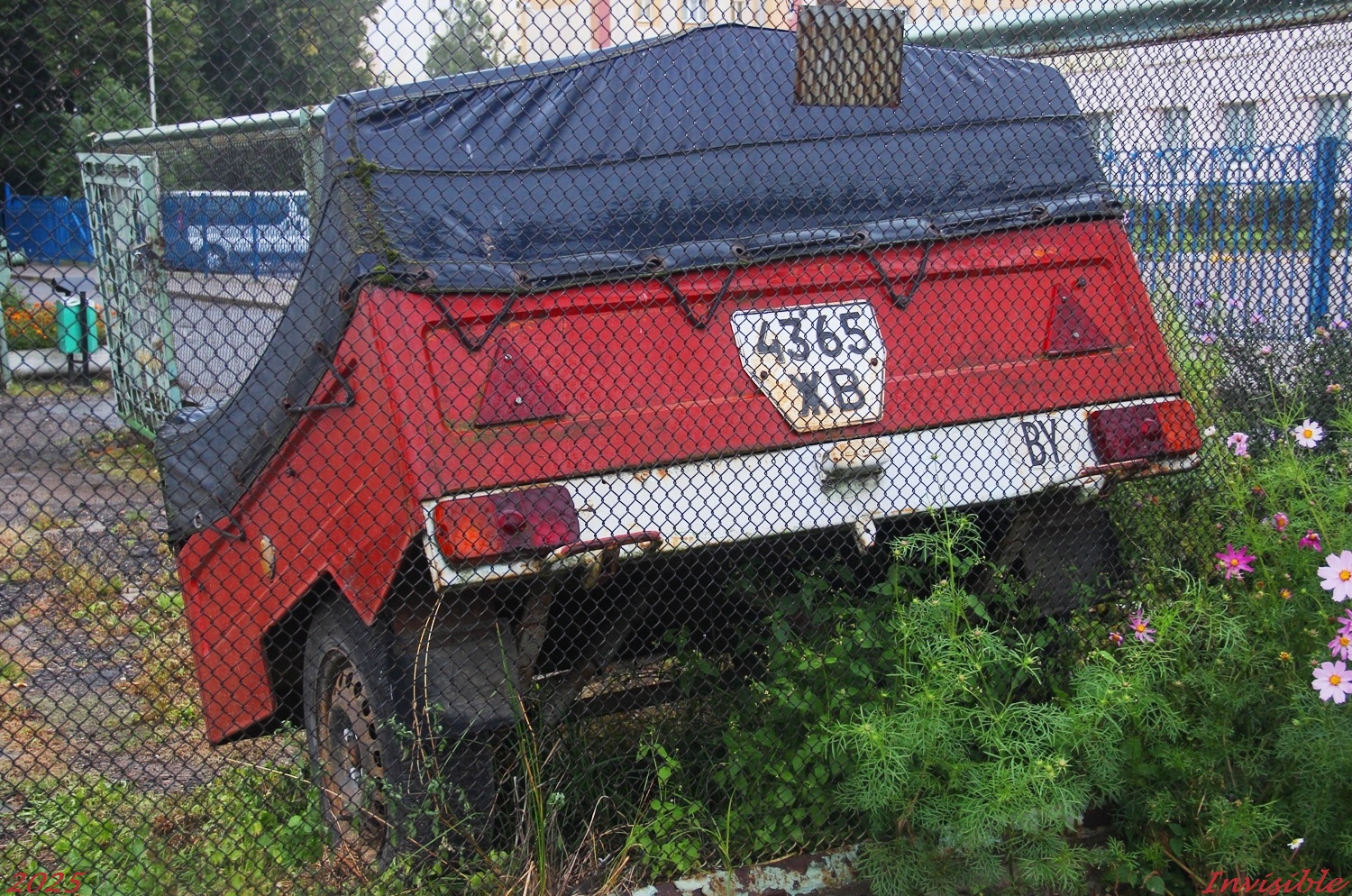 4365 ЖВ, MAZ 8111/8114 