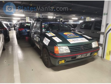 AM-491-AM, Peugeot 205