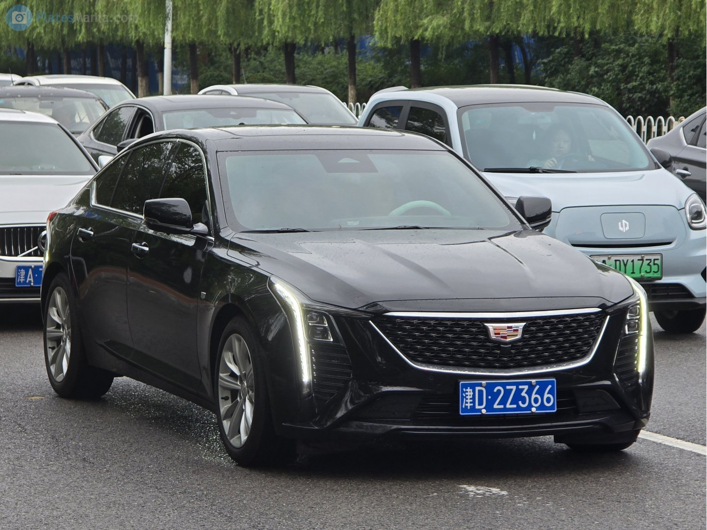 津D·2Z366, Cadillac CT5 1st gen (Alpha 2), facelift, 2024–