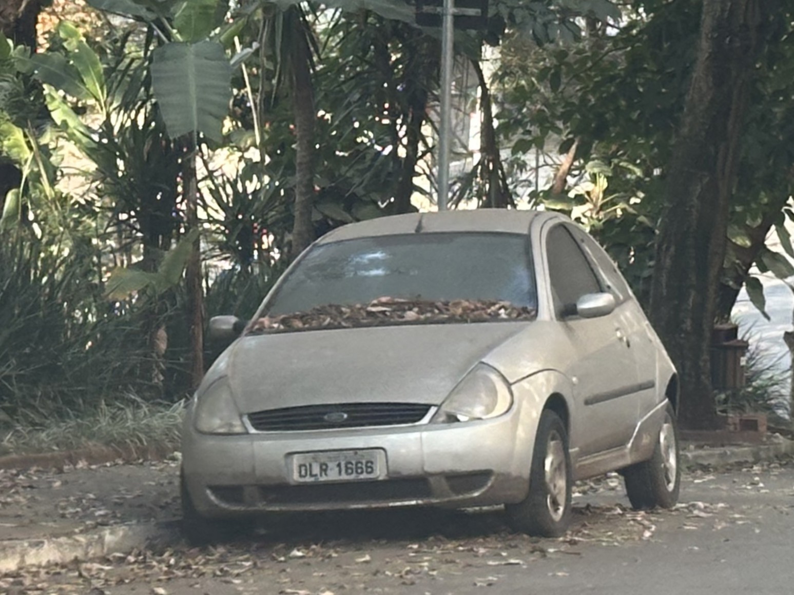 DLR-1666, Ford Ka 1st gen (BE146; RBT; LATAM-market), facelift, 2002–2007