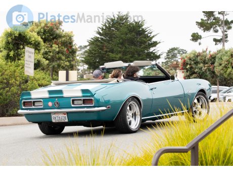 8KDX608, Chevrolet Camaro