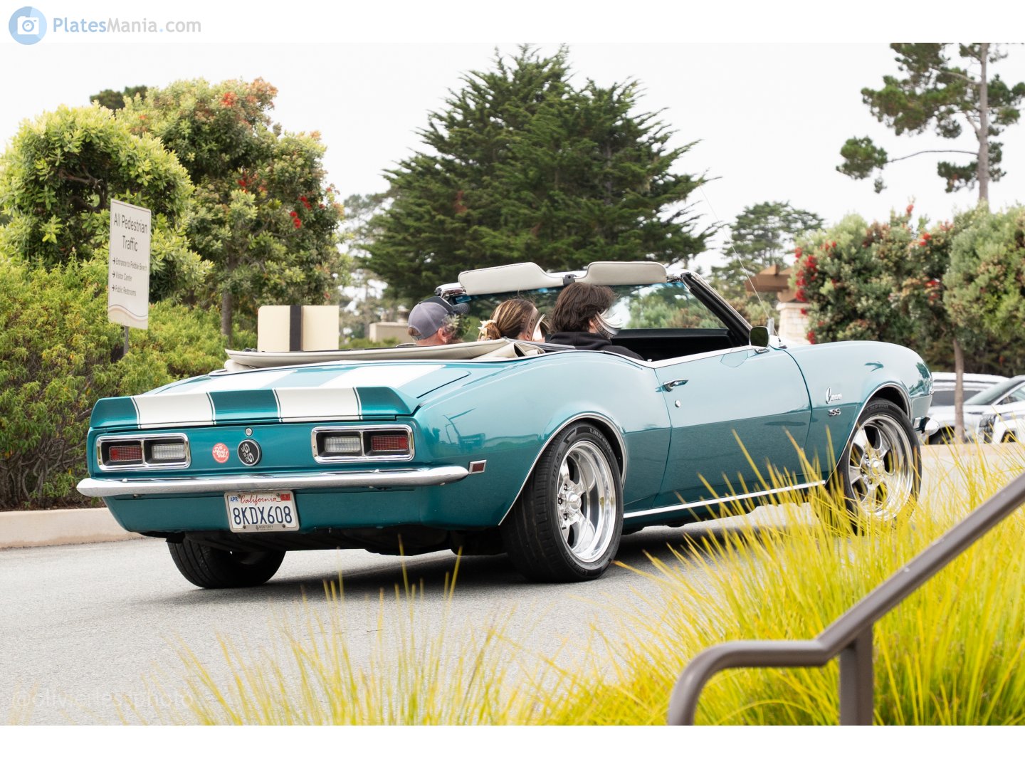 8KDX608, Chevrolet Camaro 1st gen 1967/1968 Convertible (F I), 1966–1968