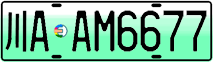 License plate of China, Electric vehicles