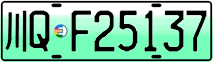 License plate of China, Electric vehicles