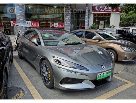 川A·BT1891, Denza (Tengshi) Z9