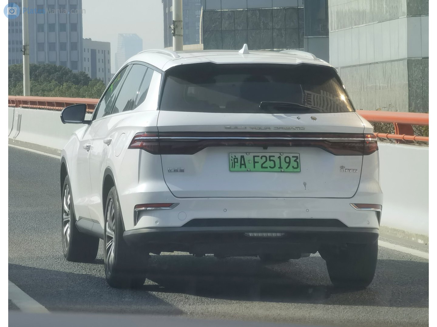 沪A·F25193, BYD Song 2nd gen Pro EV (SA2), 2019–2021