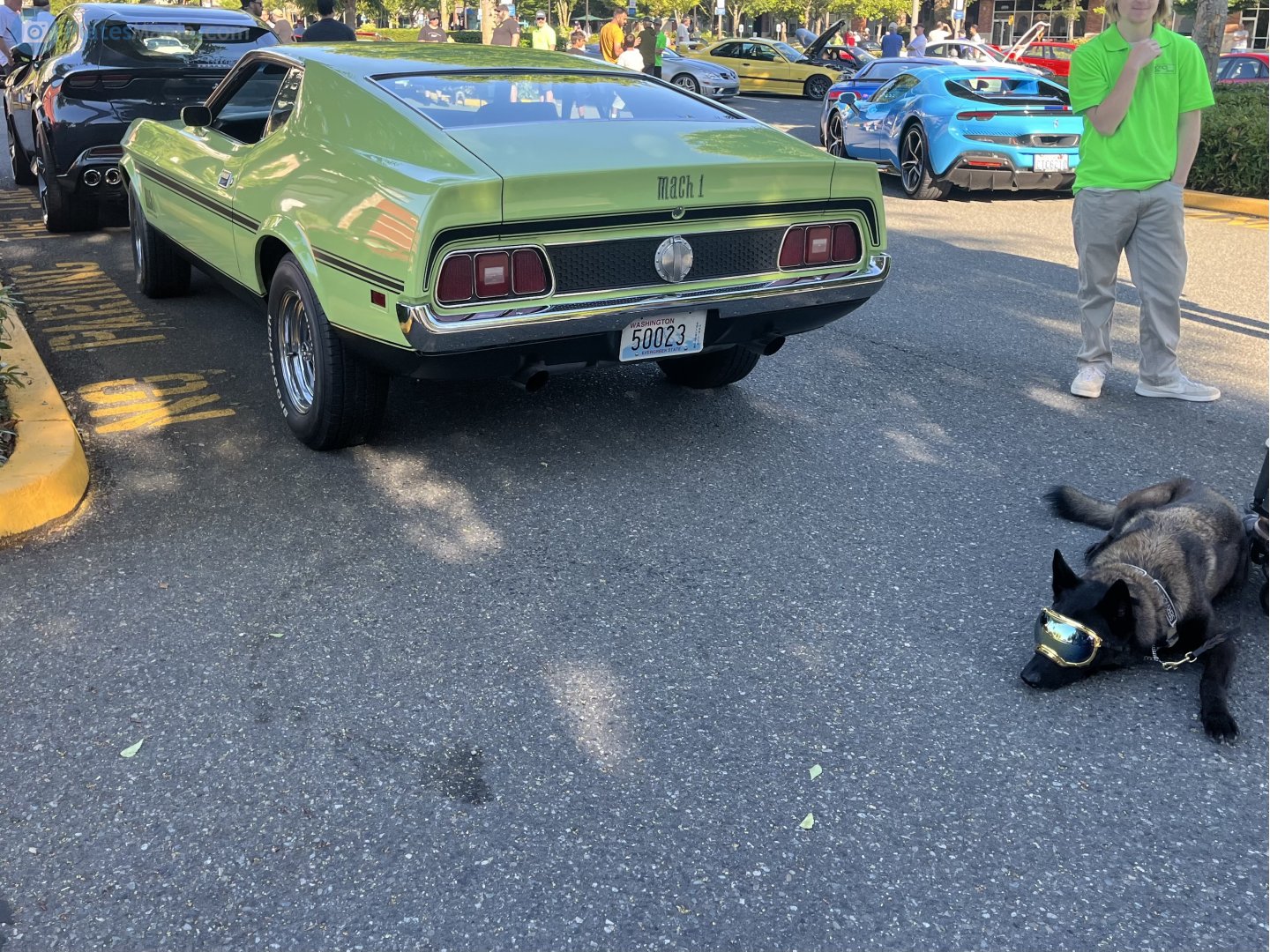 50023, Ford Mustang 1st gen 2-door Fastback (63), facelift, 1970–1973