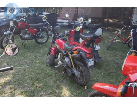 DSW 1KL2, Suzuki Street Magic