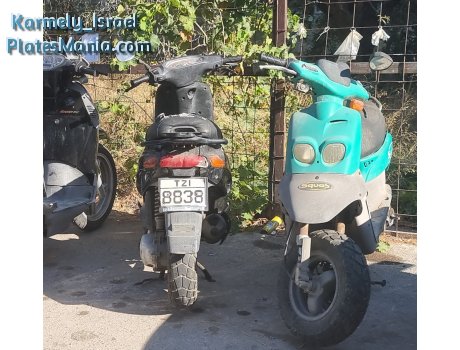 TZI 8838, Piaggio Typhoon