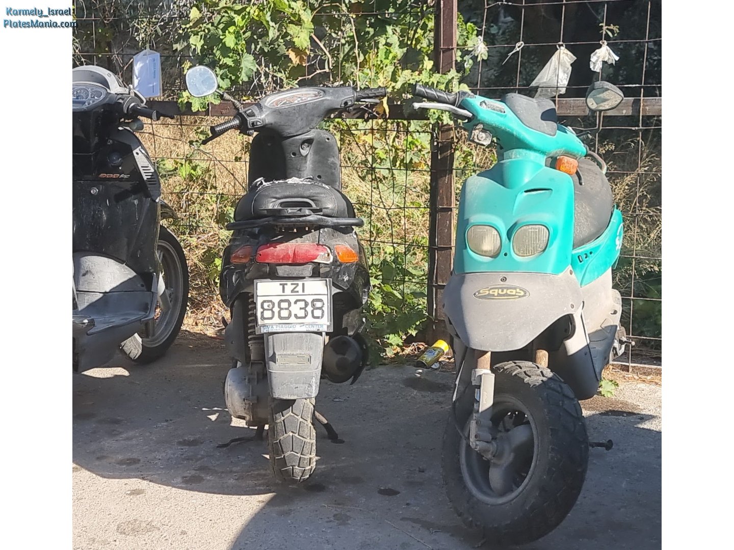 TZI 8838, Piaggio Typhoon 1st gen, 1993–2010