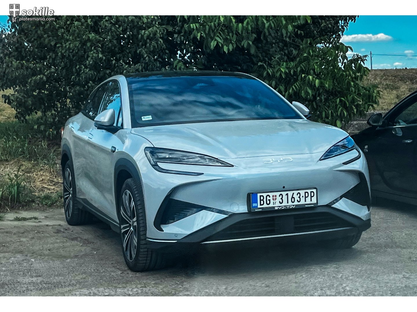 BG 3163-PP, BYD Sealion 7 / 07 1st gen EV, 2024–