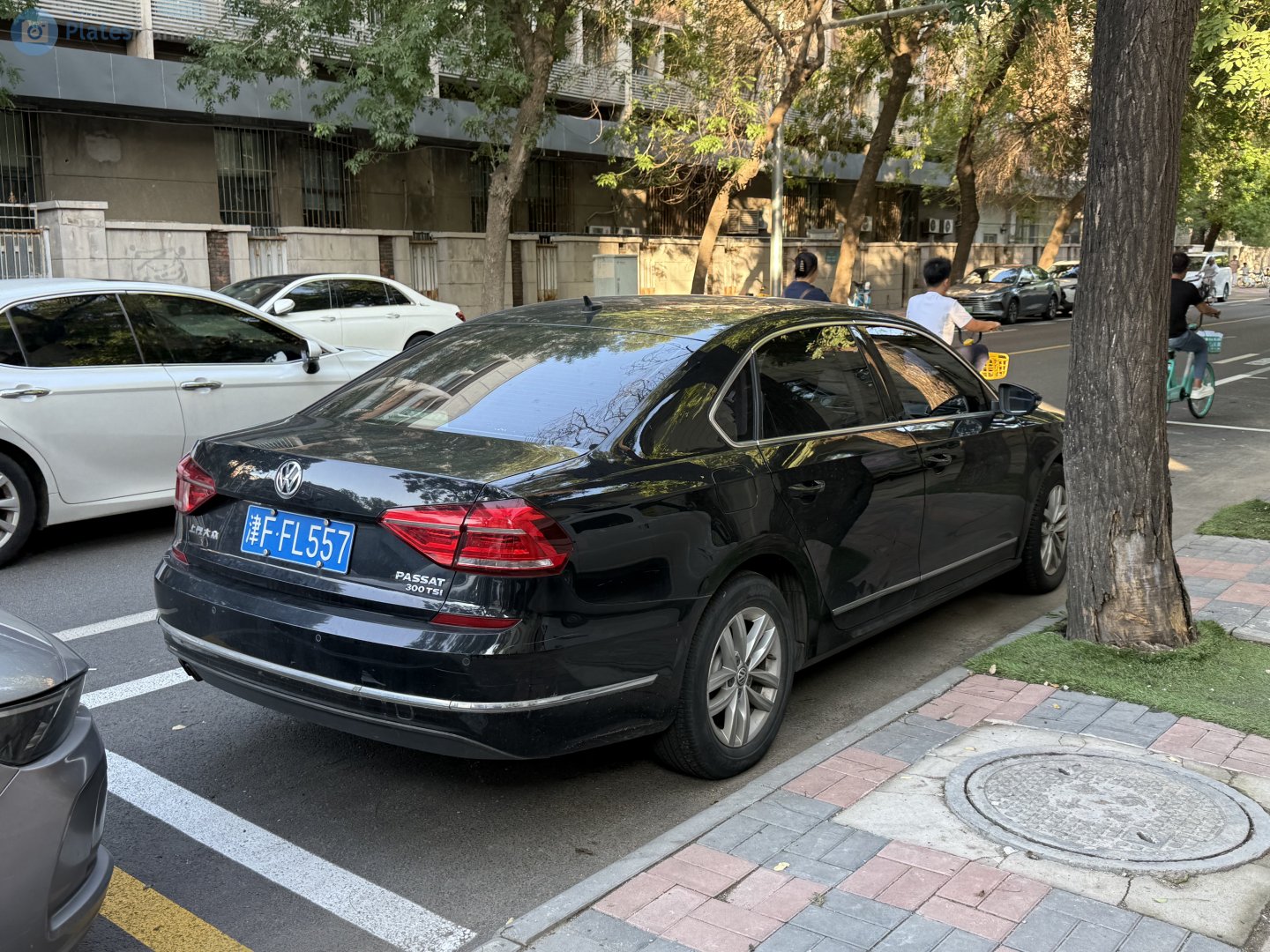 津F·FL557, Volkswagen Passat 7th gen (NMS; CN- and NA-market), facelift, 2015–2019